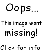 Image went missing